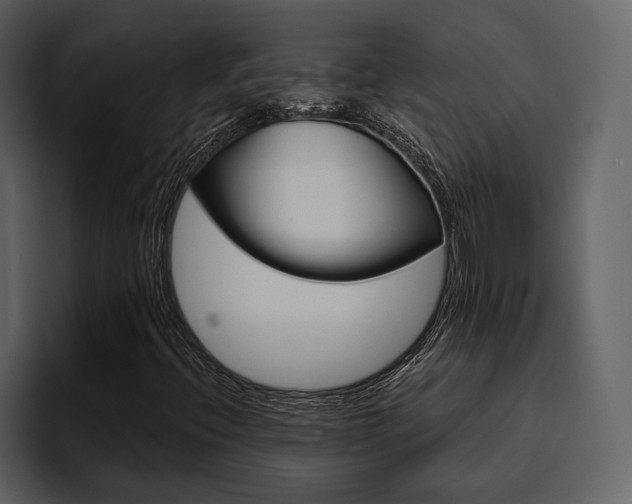 X0000095931396200801111246