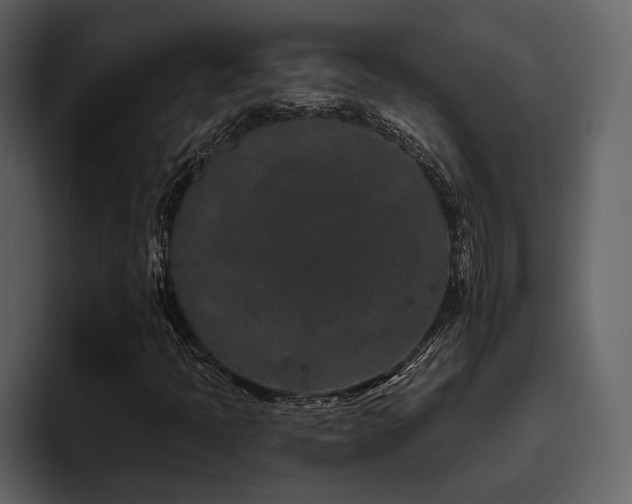 X0000095931397200801111246