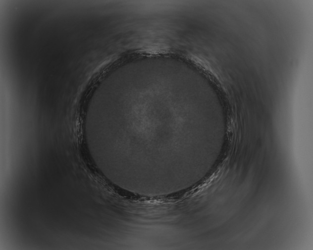 X0000095931398200801111246