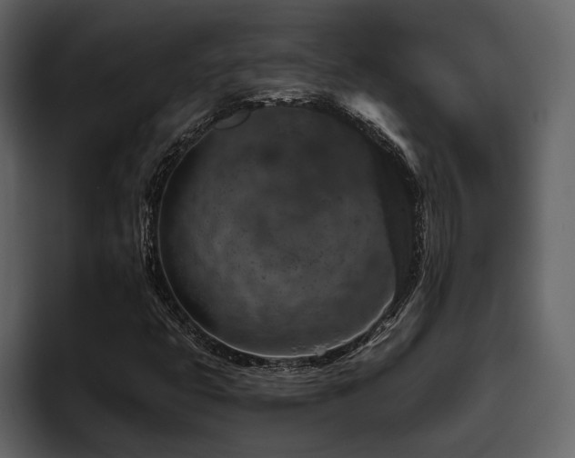 X0000095931399200801111246