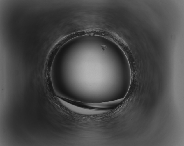 X0000095931400200801111246