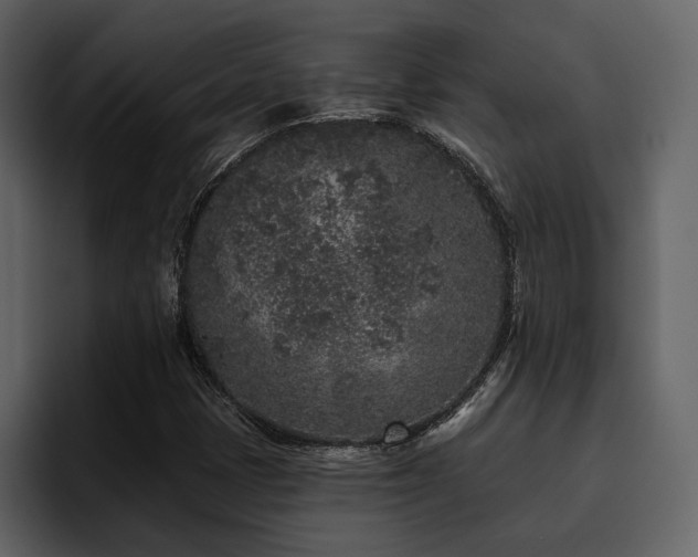 X0000095931401200801111246