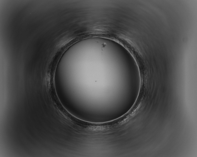 X0000095931402200801111246