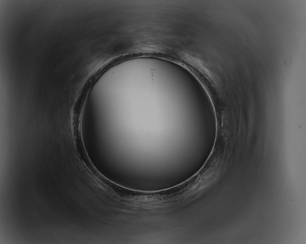 X0000095931404200801111246