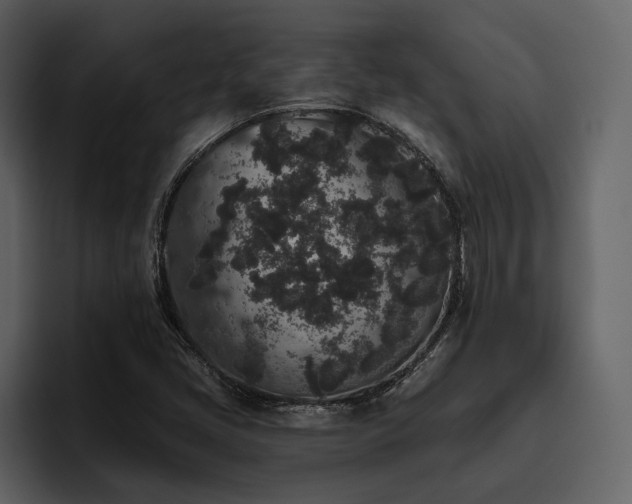 X0000095931405200801111246