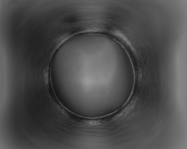 X0000095931409200801111246