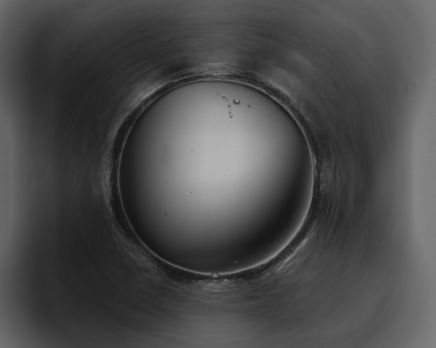 X0000095931410200801111246