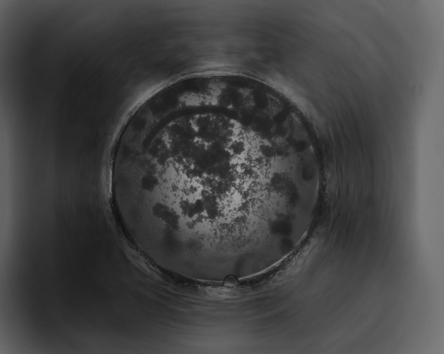X0000095931413200801111246