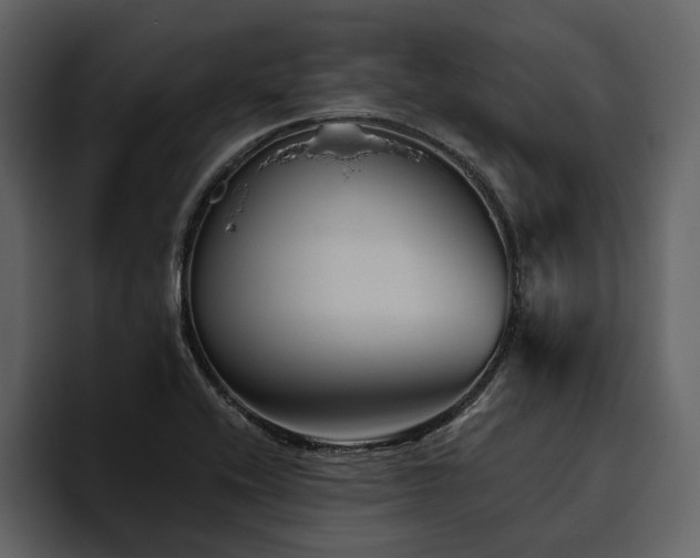 X0000095931416200801111246