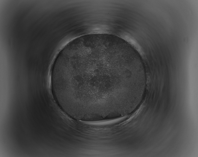 X0000095931419200801111246