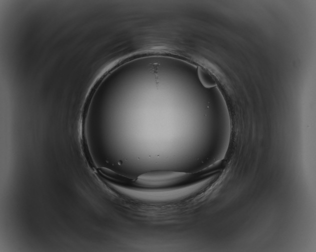 X0000095931420200801111246
