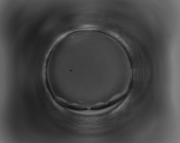 X0000095931421200801111246