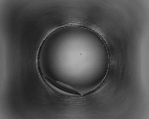 X0000095931423200801111246