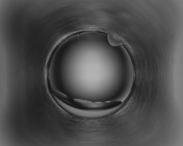 X0000095931424200801111246