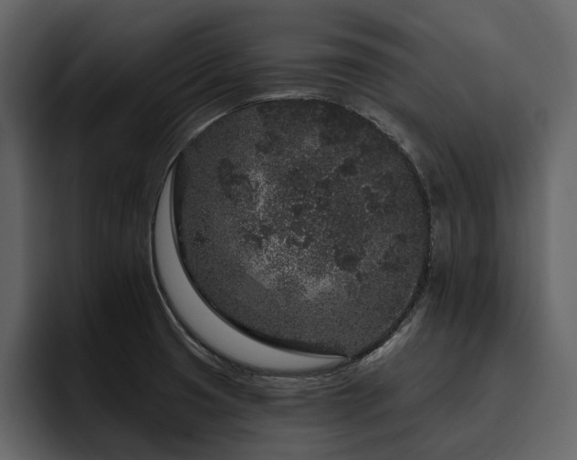 X0000095931425200801111246