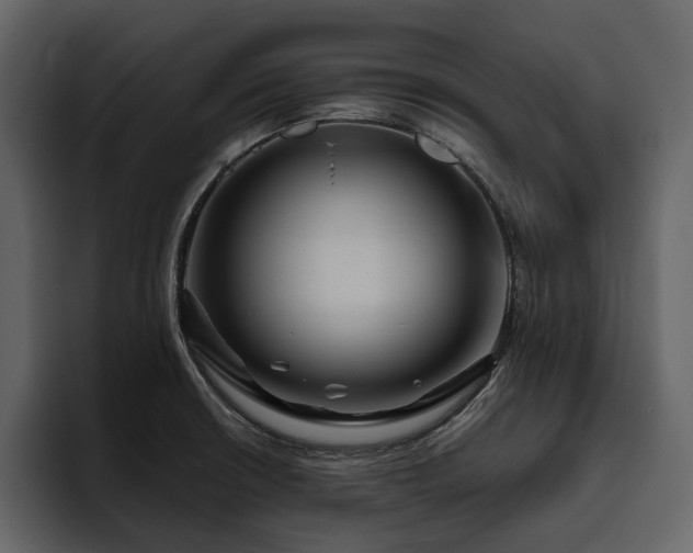 X0000095931426200801111246