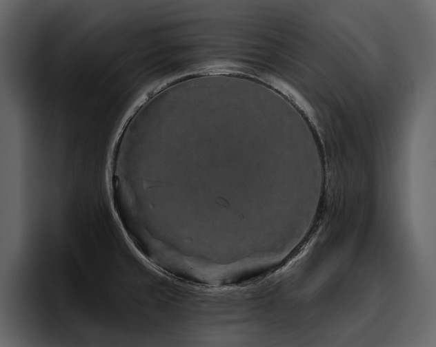 X0000095931429200801111246