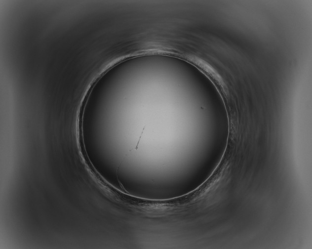 X0000095931431200801111246