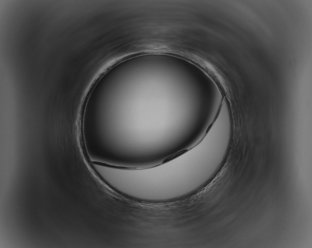 X0000095931432200801111246