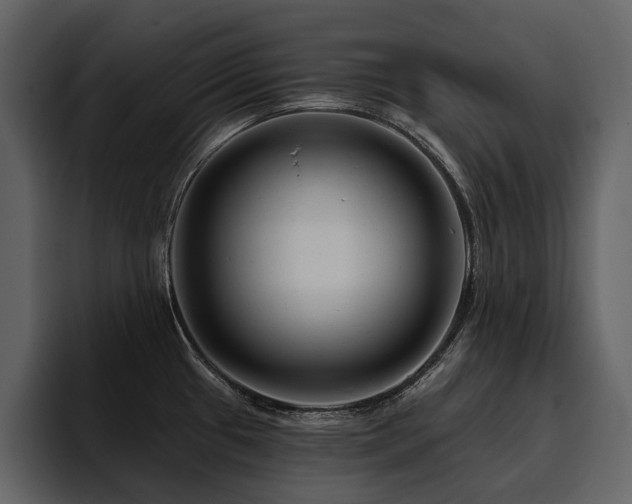 X0000095931433200801111246