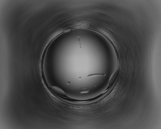 X0000095931434200801111246