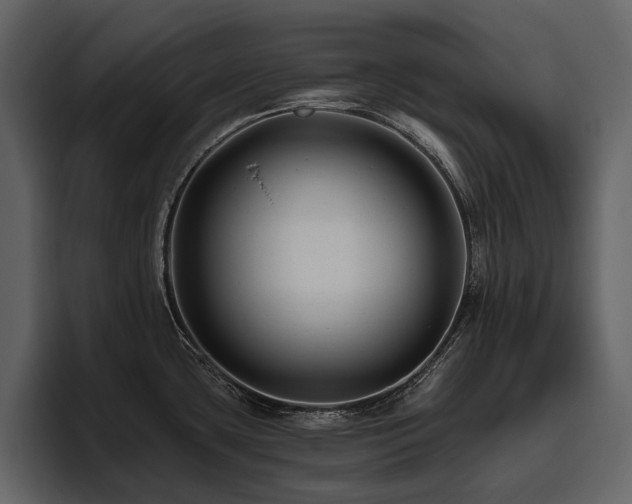 X0000095931435200801111246