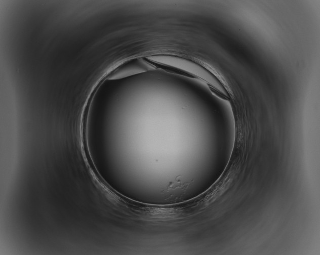X0000095931439200801111246