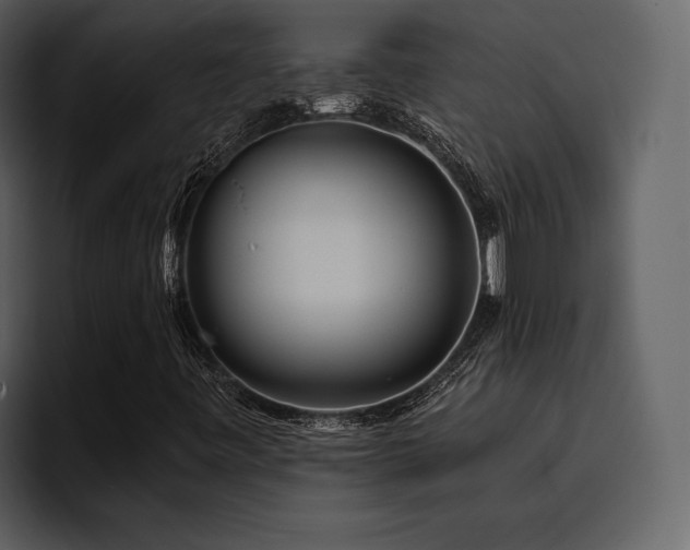 X0000095931443200801111246