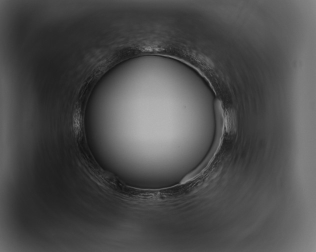 X0000095931444200801111245