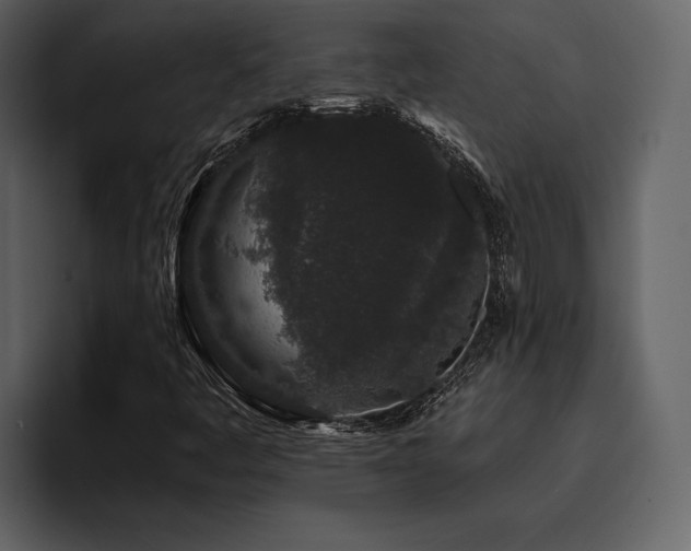 X0000095931445200801111245