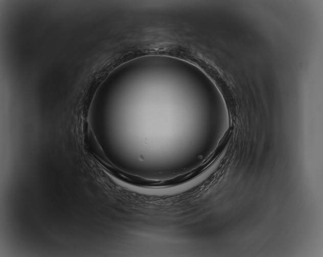 X0000095931447200801111245