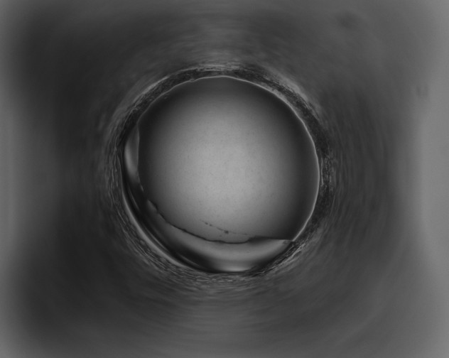 X0000095931448200801111245