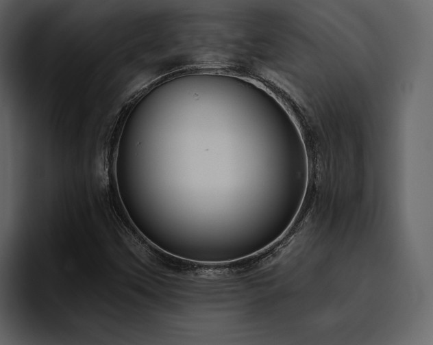 X0000095931451200801111245