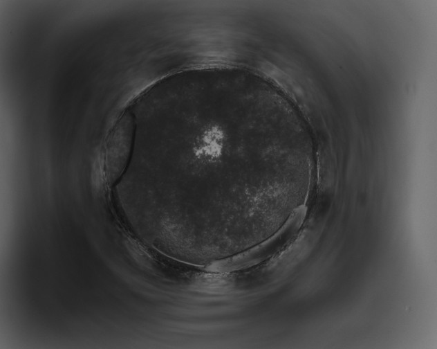 X0000095931453200801111245