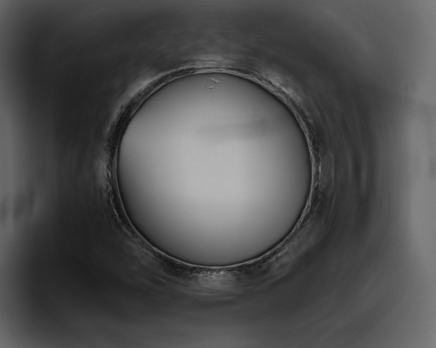 X0000095931454200801111245