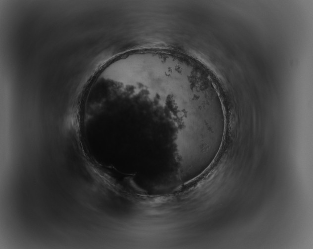 X0000095931455200801111245