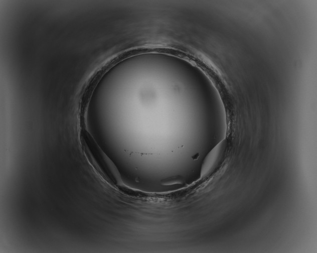 X0000095931456200801111245