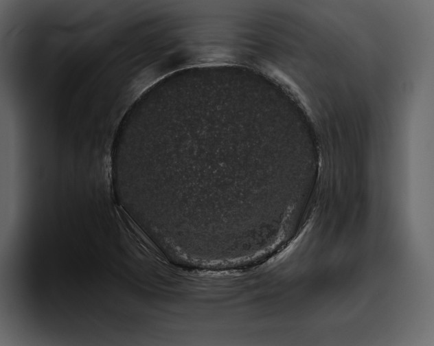 X0000095931457200801111245