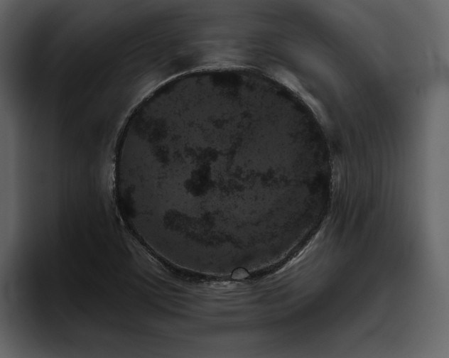 X0000095931459200801111245