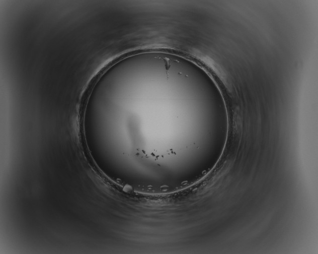 X0000095931460200801111245