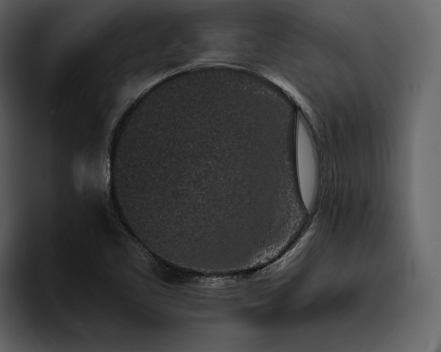 X0000095931461200801111245