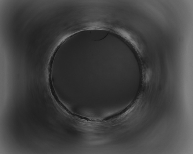 X0000095931463200801111245