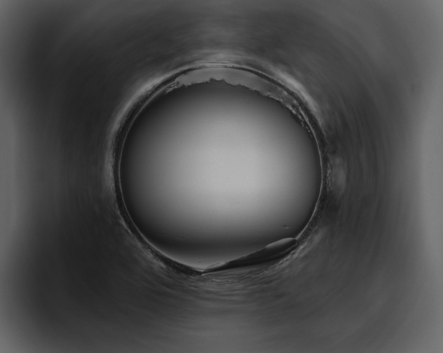X0000095931464200801111245
