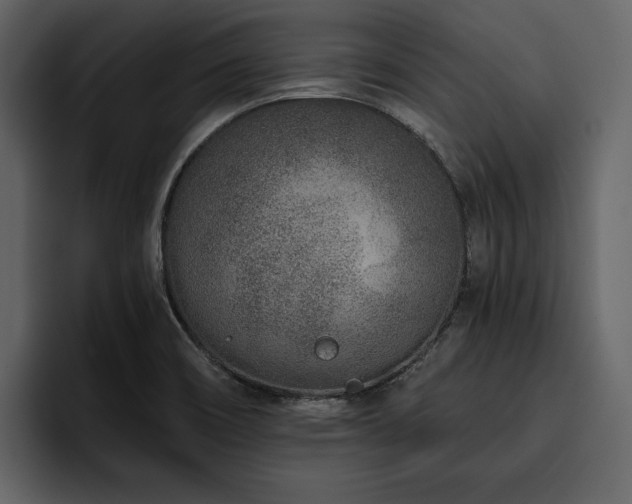X0000095931466200801111245