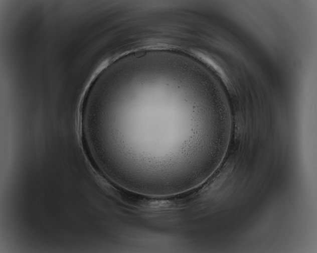 X0000095931467200801111245