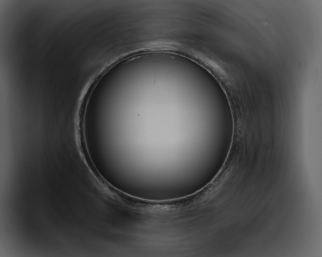 X0000095931470200801111245