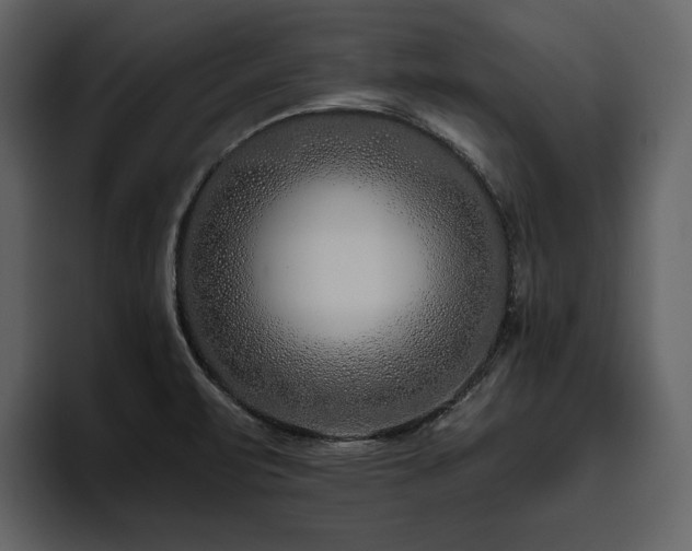 X0000095931471200801111245