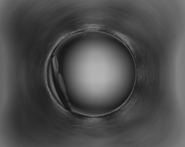 X0000095931475200801111245