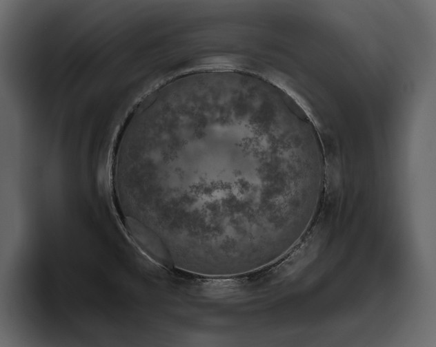 X0000095931477200801111245
