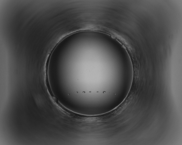 X0000095931479200801111245